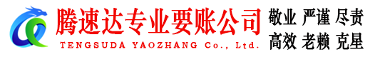 泰顺清债公司